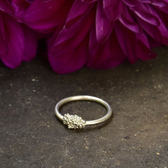 Minibubble-Ring