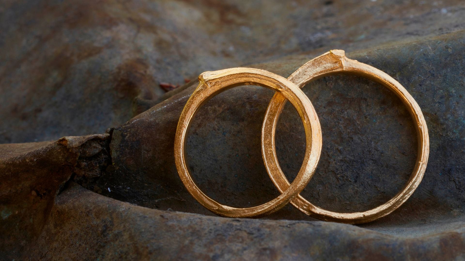 von-der-seite-zu-sehen-sind-zwei-ringe-aus-abgeformten-aestchen-in-gelbgold-als-eheringe-sie-liegen-uebereinander-wie-ein-unendlichkeitszeichen