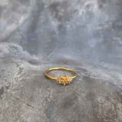 Minibubble-Ring