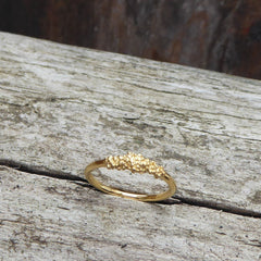 Minibubble-Ring