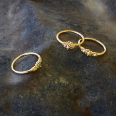Minibubble-Ring