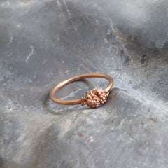 Minibubble-Ring