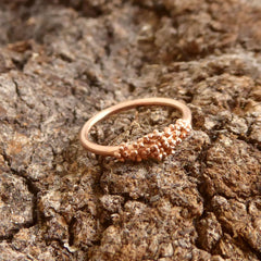 Minibubble-Ring